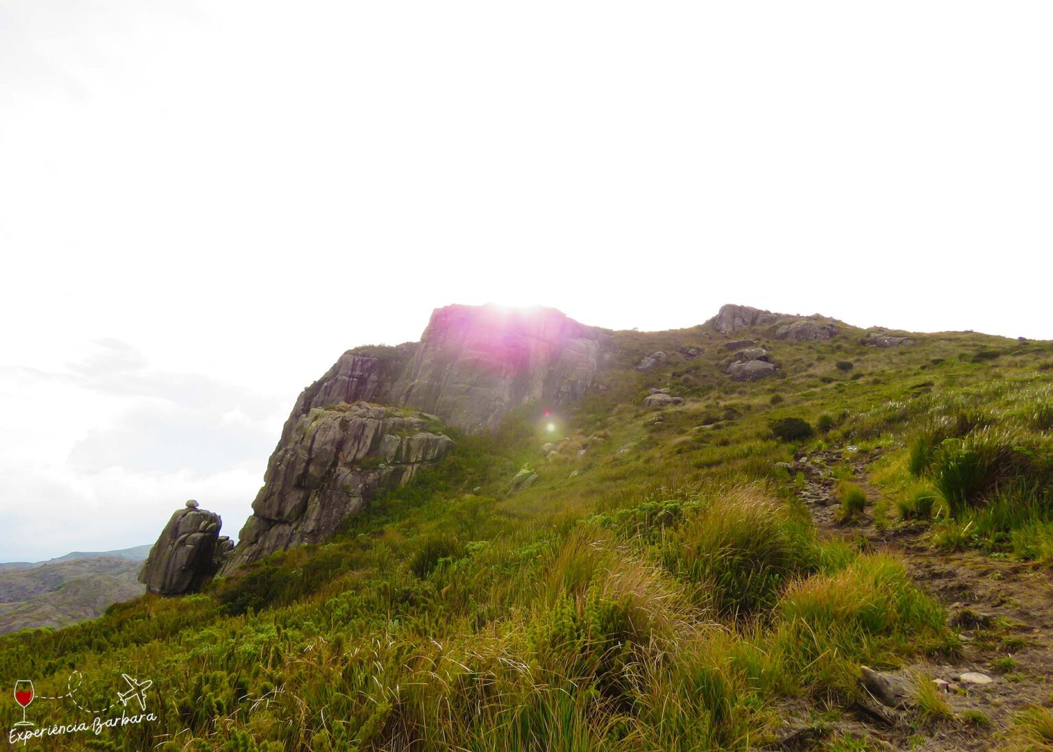 Parque Nacional Do Itatiaia O Que Fazer Na Parte Alta Experi Ncia