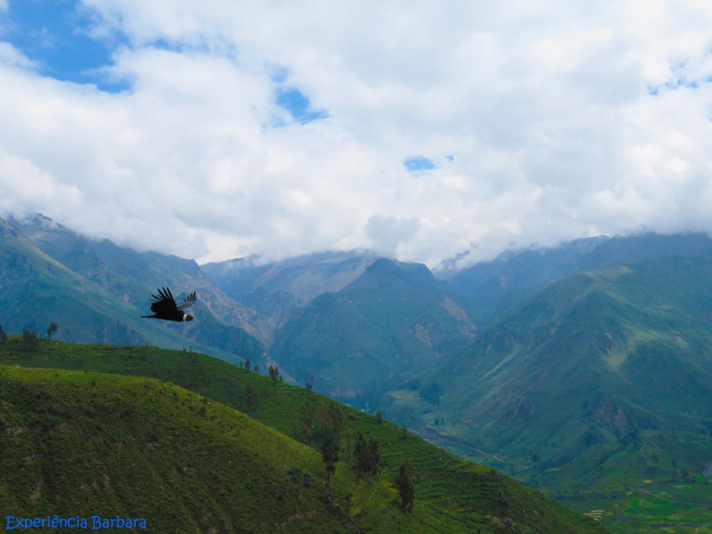 Cordilheira dos Andes - Valle del Colca no Peru