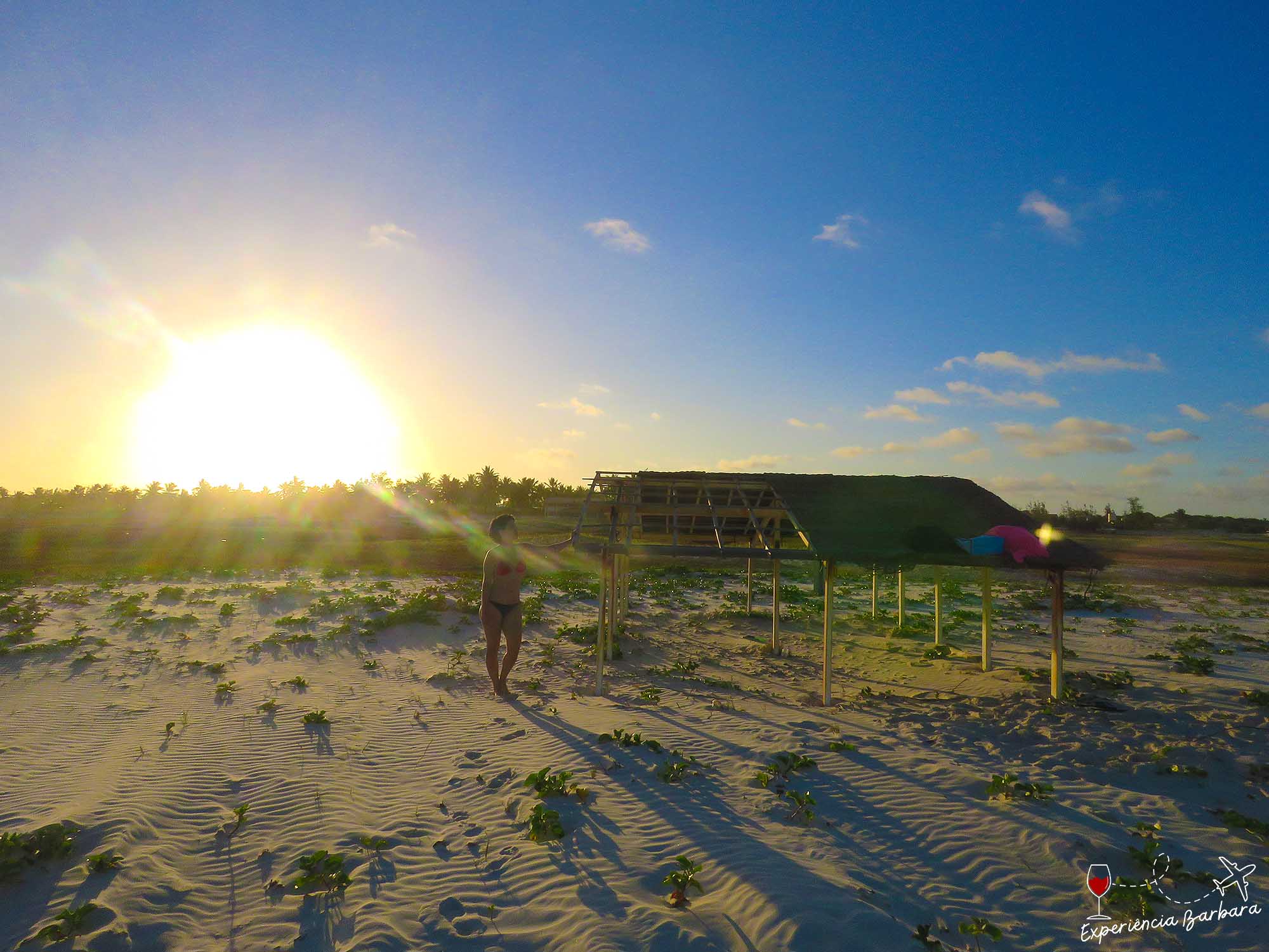 Https://www.passagenspromo.com.br/blog/mangue Seco Bahia/